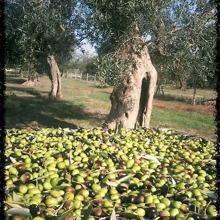 Hotel Accampamento Rurale Macaria