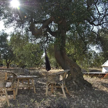 Accampamento Rurale Macaria Hotel Alliste