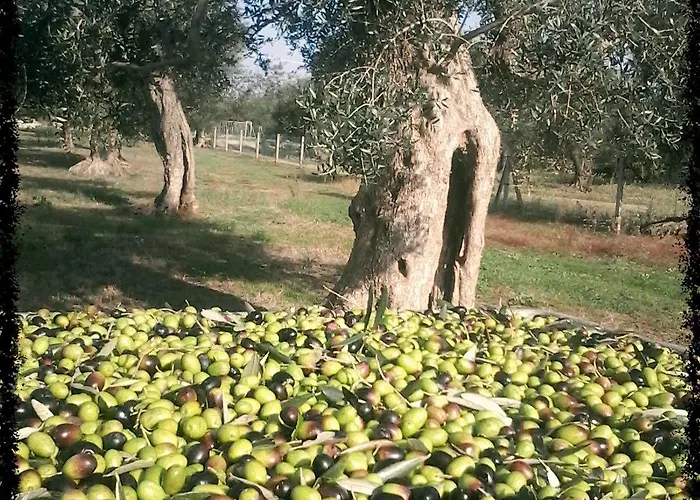 Hotel Accampamento Rurale Macaria