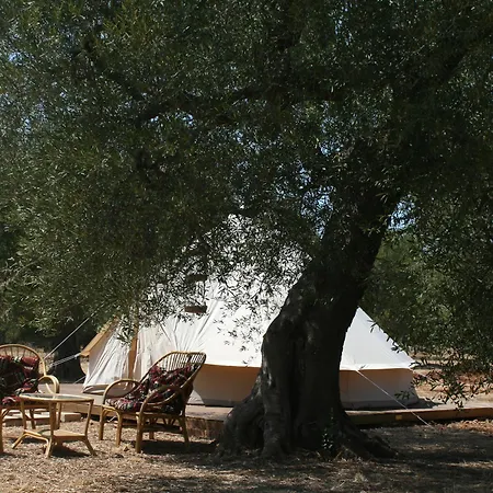 Accampamento Rurale Macaria فندق أليستي