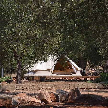 Accampamento Rurale Macaria فندق أليستي